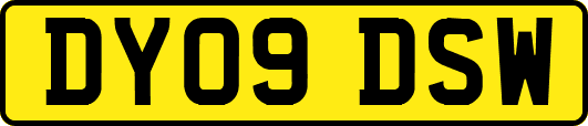 DY09DSW