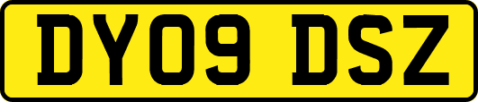 DY09DSZ