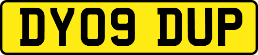 DY09DUP