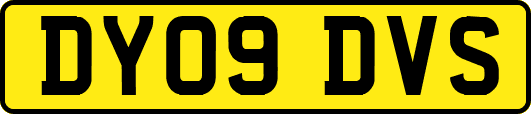DY09DVS