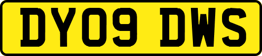 DY09DWS