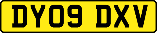 DY09DXV