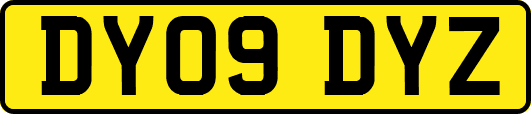 DY09DYZ