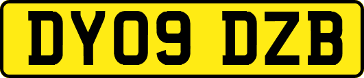 DY09DZB