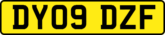 DY09DZF