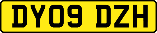 DY09DZH