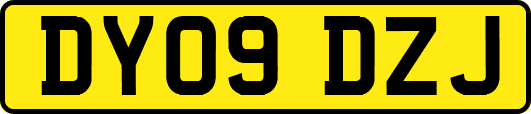 DY09DZJ