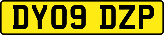 DY09DZP