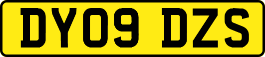 DY09DZS