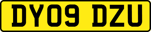 DY09DZU