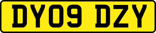 DY09DZY