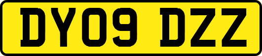 DY09DZZ