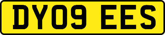 DY09EES
