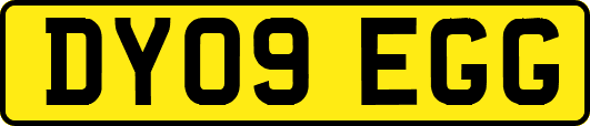 DY09EGG