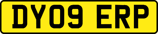 DY09ERP