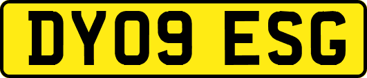 DY09ESG
