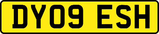 DY09ESH
