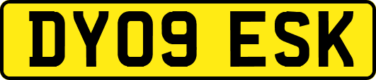 DY09ESK