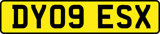 DY09ESX