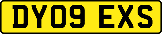 DY09EXS