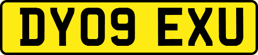 DY09EXU