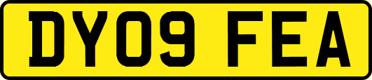 DY09FEA
