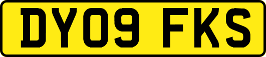 DY09FKS