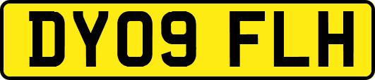 DY09FLH