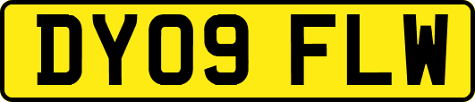 DY09FLW