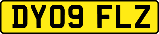 DY09FLZ