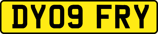 DY09FRY