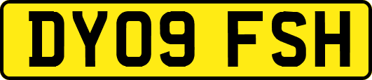 DY09FSH