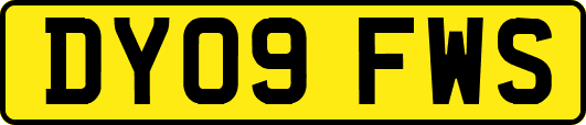 DY09FWS