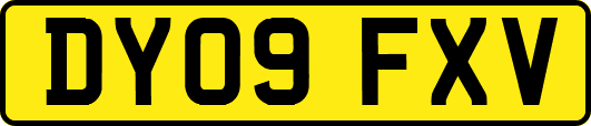 DY09FXV