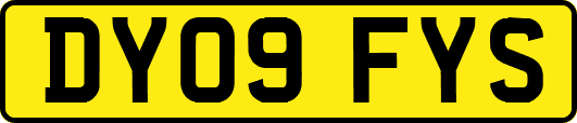 DY09FYS