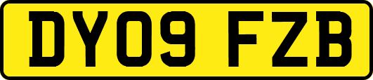 DY09FZB
