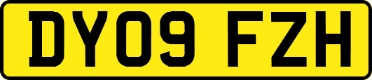 DY09FZH
