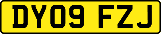 DY09FZJ