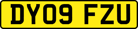 DY09FZU