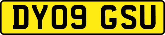 DY09GSU