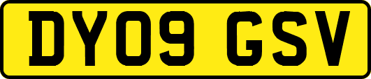 DY09GSV