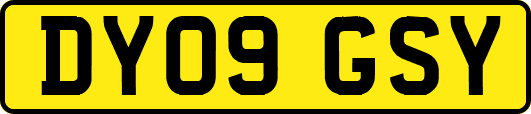 DY09GSY