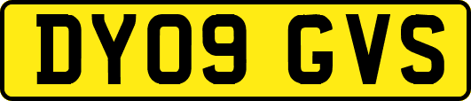 DY09GVS
