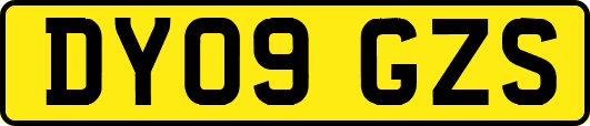 DY09GZS