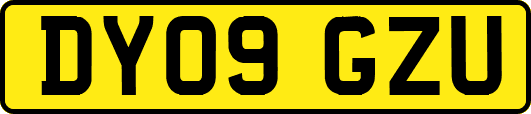 DY09GZU