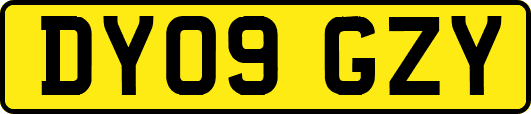 DY09GZY