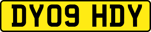 DY09HDY