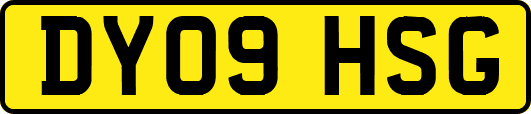 DY09HSG