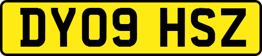 DY09HSZ