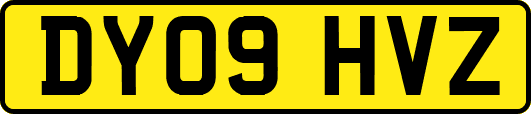 DY09HVZ